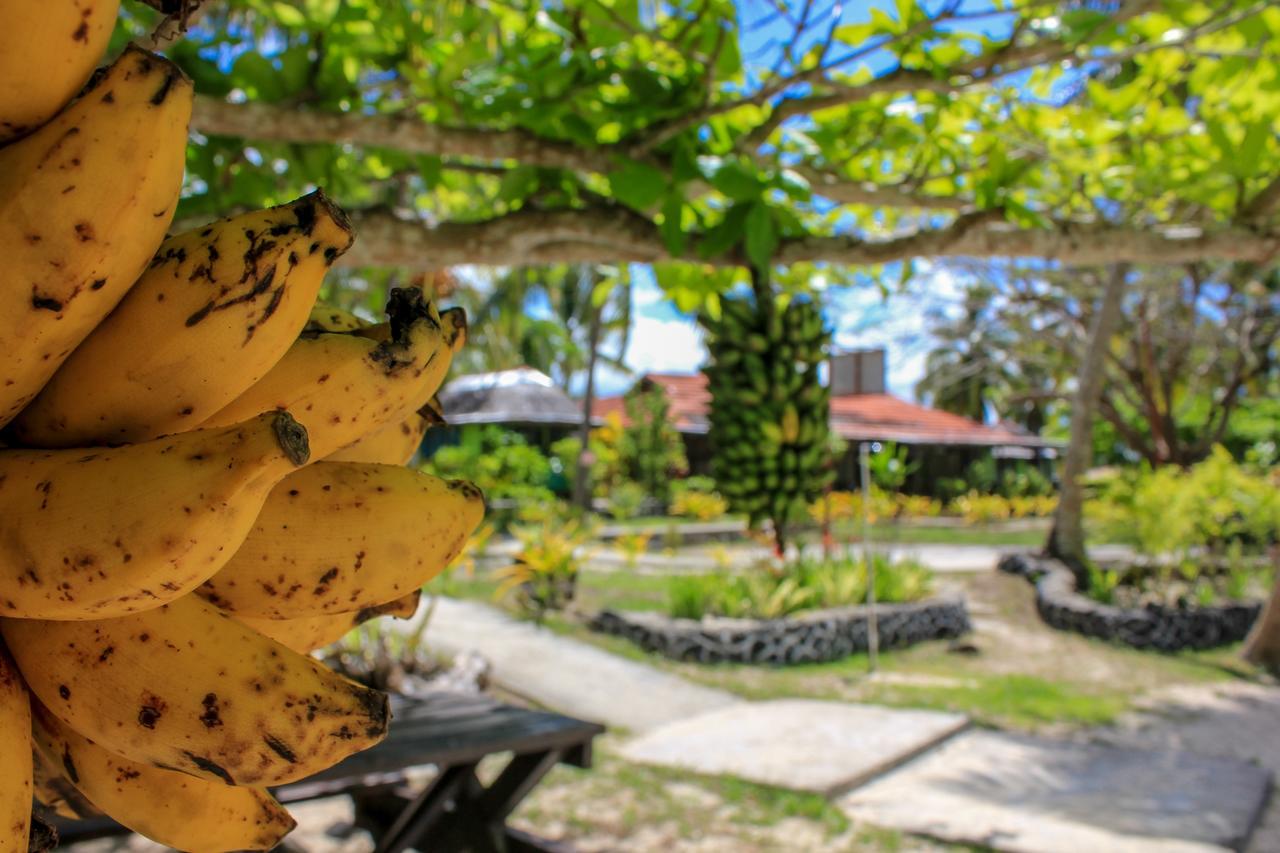 Vaimoana Seaside Lodge Savai'i Island Exteriör bild