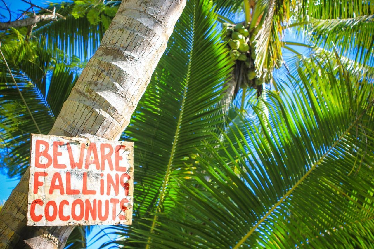 Vaimoana Seaside Lodge Savai'i Island Exteriör bild